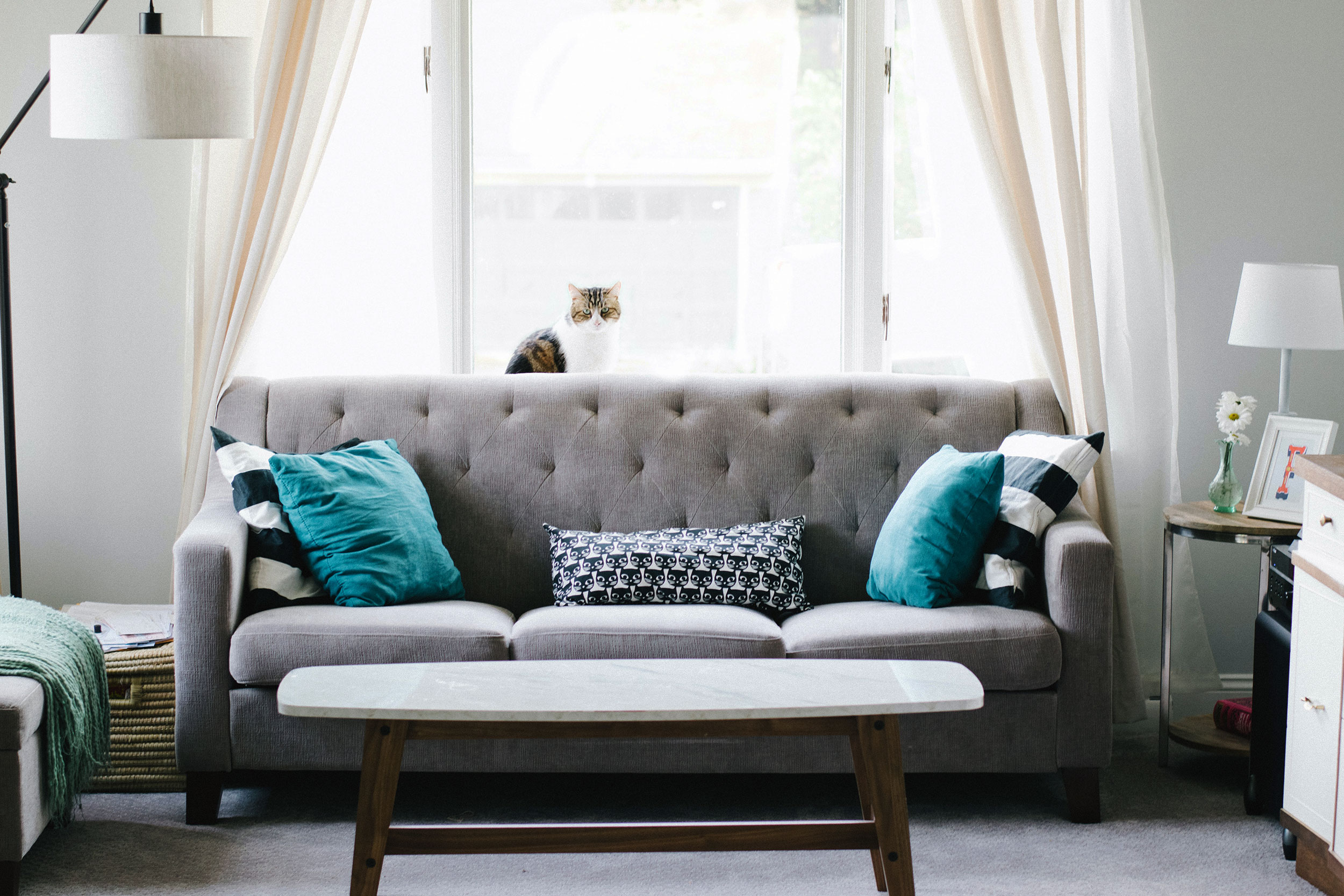 Welche Farbe passt zu grauem Sofa? 🛋️ 8 großartige Farben