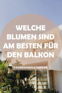 Welche Blumen sind am besten für den Balkon?