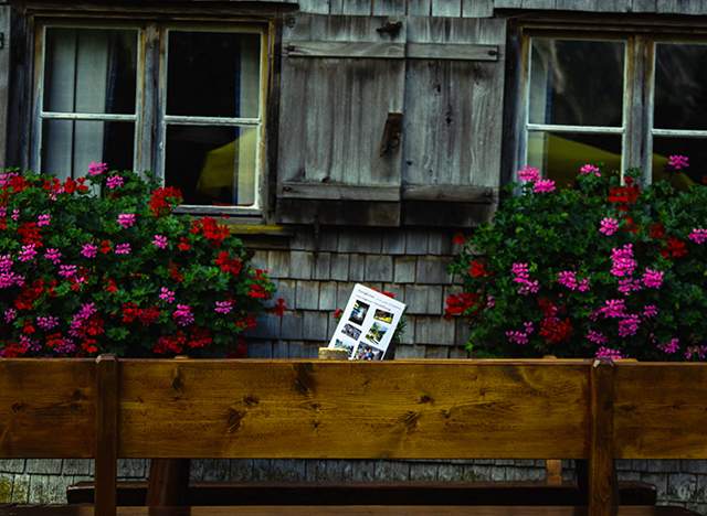 Welche Blumen sind am besten für den Balkon?