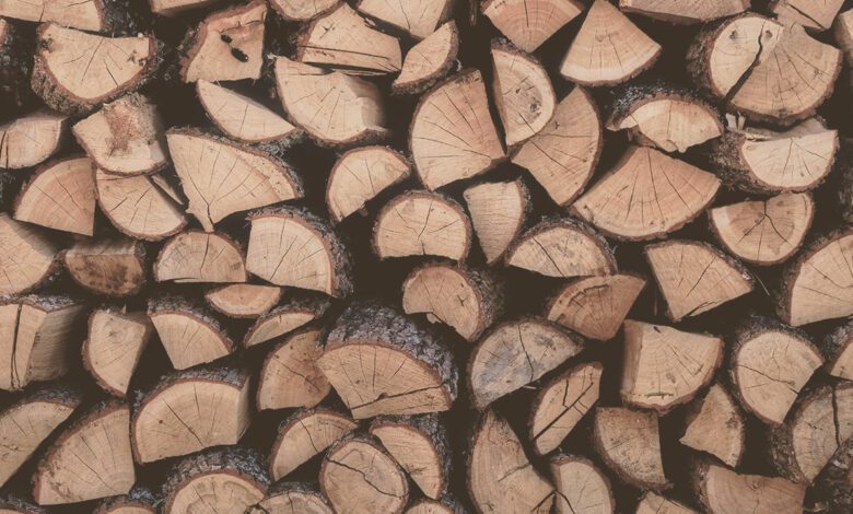 Welche Farbe passt zu Kernbuche? 4 Welche Farbe passt zu Kernbuche?